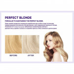 ESTHETIC HOUSE Эссенция для волос БЛОНД CP-1 Perfect Blonde Purple Essence, 50 мл